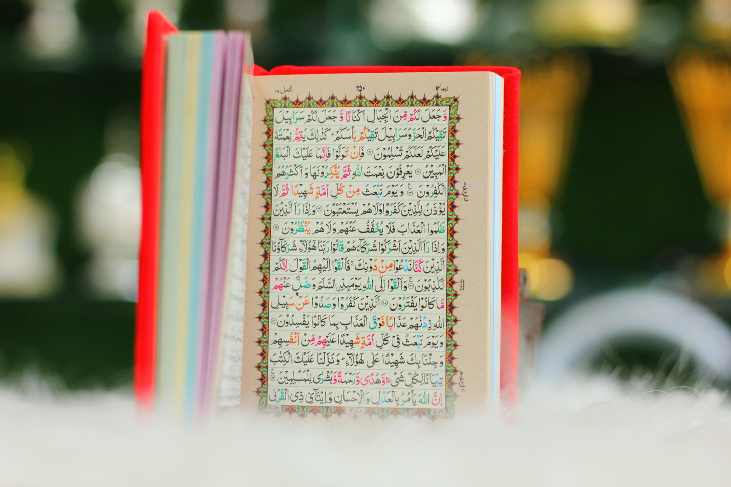 Mini Pocket Quran with Tajweed - A Convenient & Guided Spiritual Companion