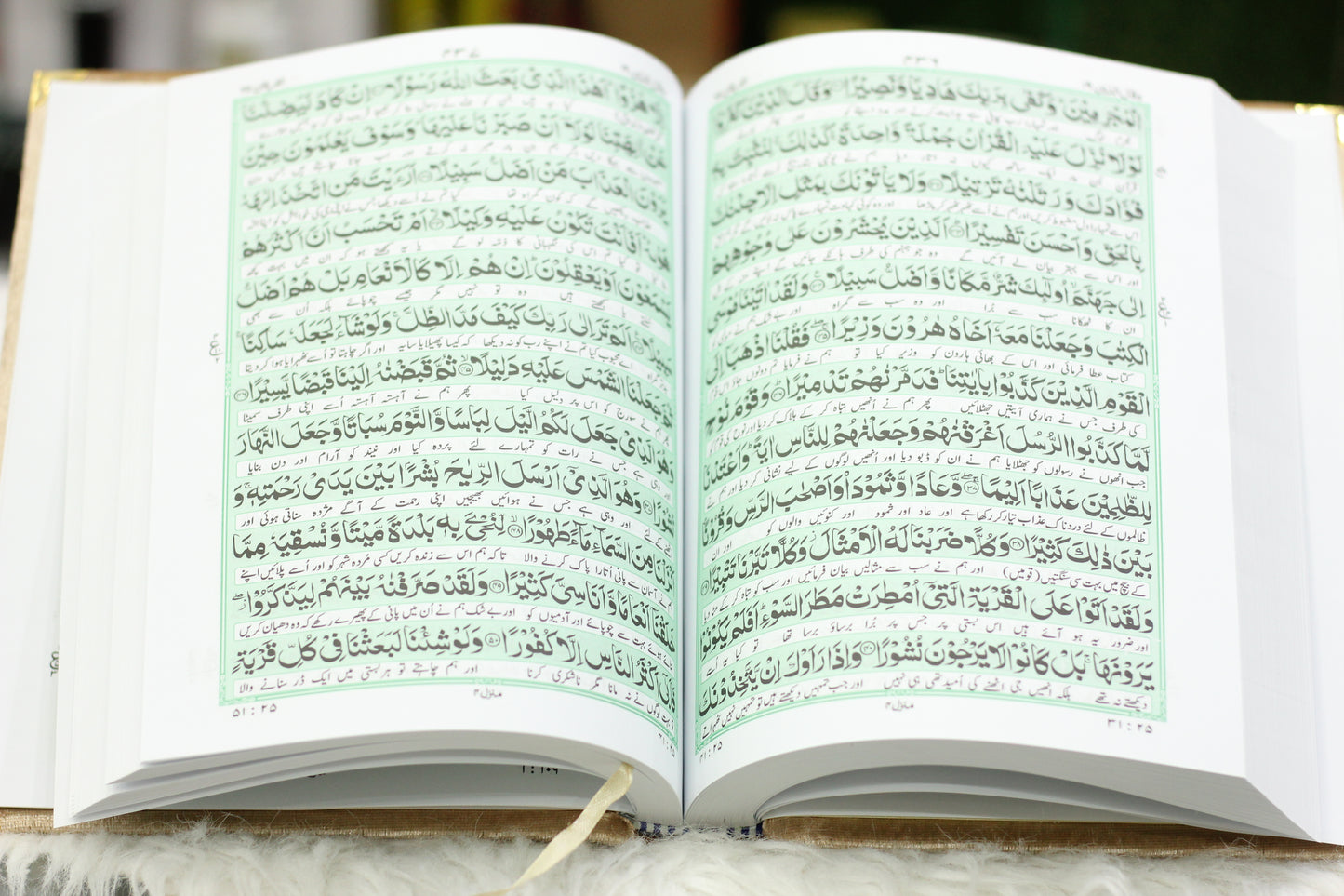 Skin Golden Acrylic Box Quran Pak with Rehal, Tasbih, and Counter